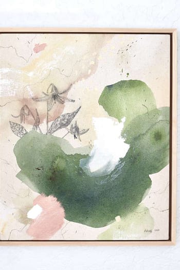 "Trout Lily, a Nodding Spring Ephemeral"