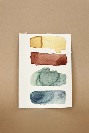 Wild Ink Set: Rainbow Mellows