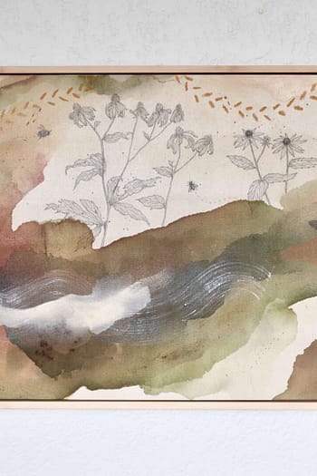 “All Eyes on Rudbeckia”