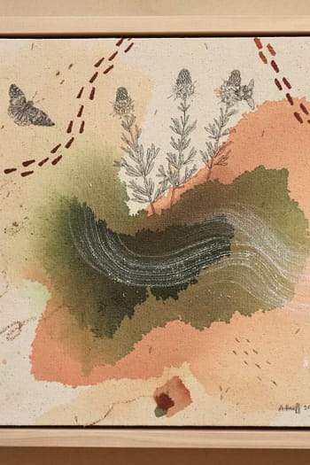 Purple Prairie Clover + Red Admiral Butterfly