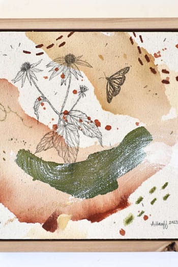 Rudbeckia + Viceroy Butterfly