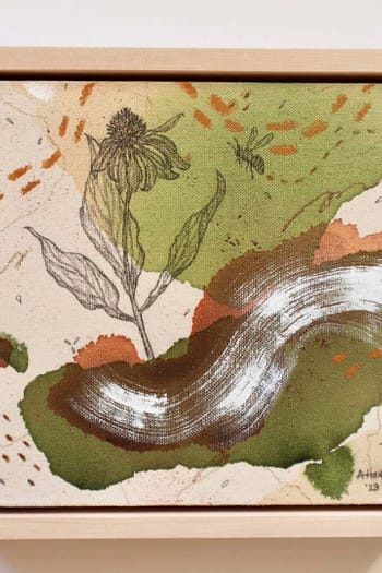 Coneflower + Honeybee