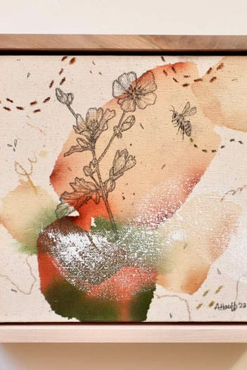 Scarlet Globemallow + Honey Bee