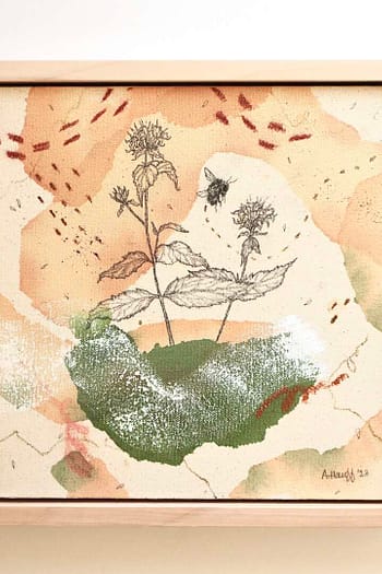 Wild Bergamot + Bumble Bee