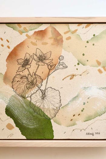 Marsh Marigold + Honey Bee