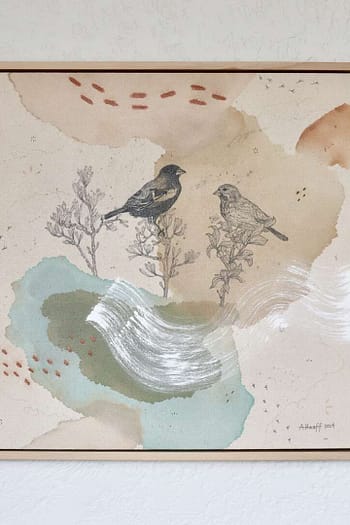 “Lark Bunting, Black Beauty of the Plains”