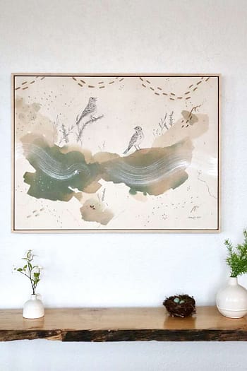 “Baird’s Sparrow, Rare Gem of the Northern Plains”