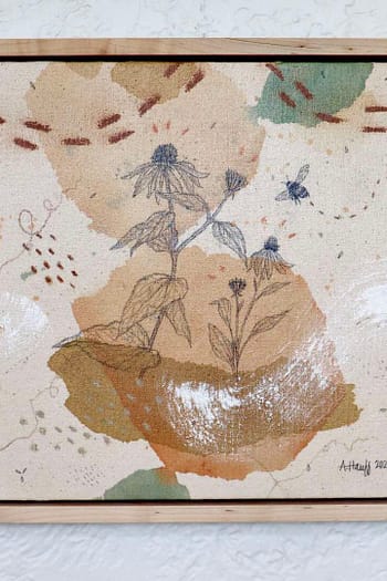 Echinacea Mini Original