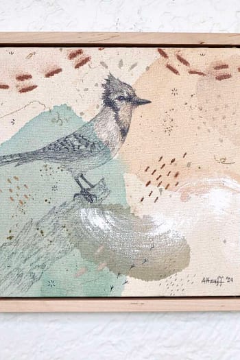 Blue Jay Mini Original