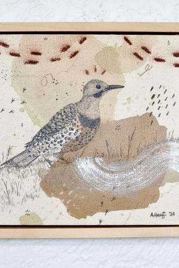 Northern Flicker Mini Original
