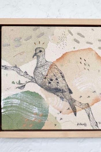 Mourning Dove Mini Original