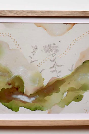 Yarrow Fine Art Print - Framed