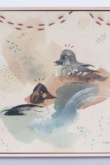 Common Goldeneye, the Bond of Ducks