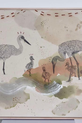 Sandhill Cranes' Dance of Life