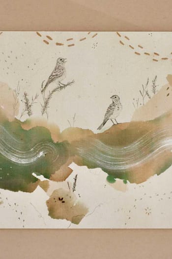 Baird's Sparrow Rolled Canvas Print 8x10