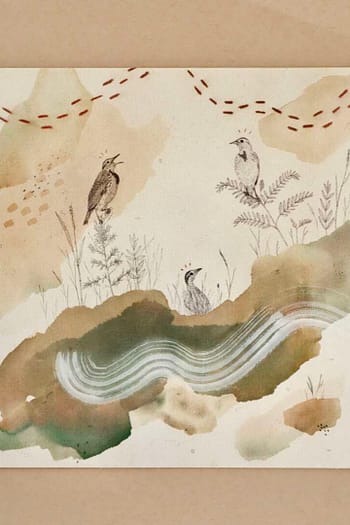 Western Meadowlark Rolled Canvas Print 8x10