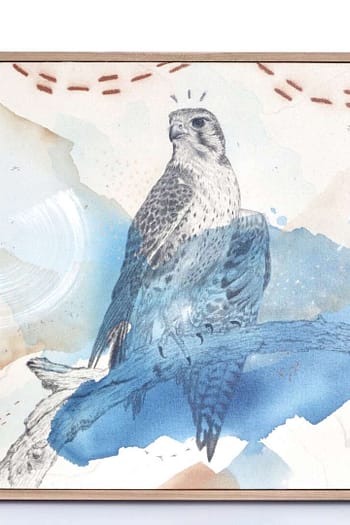 "Prairie Falcon, Spirit in the West"