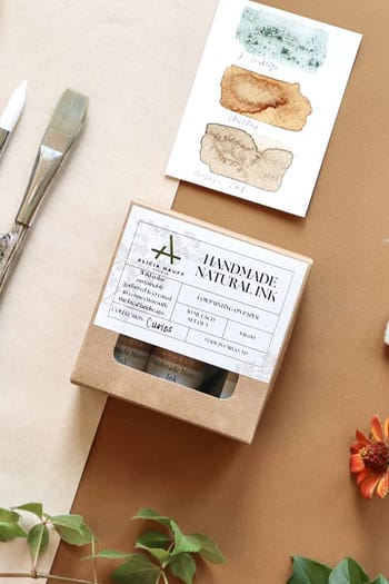 The Curios Wild Ink Set 2024-25