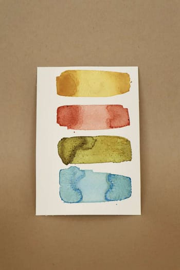 Wild Ink Set: Rainbow Brights