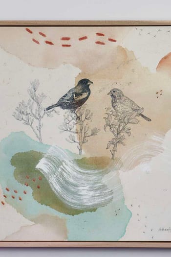 Lark Bunting Stretched & Framed Canvas Print