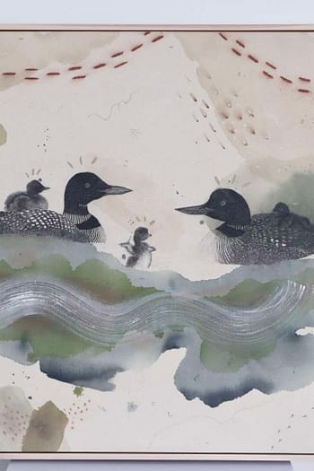 Common Loon, Yodeler of the North