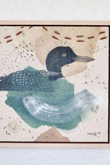 Common Loon Mini Original