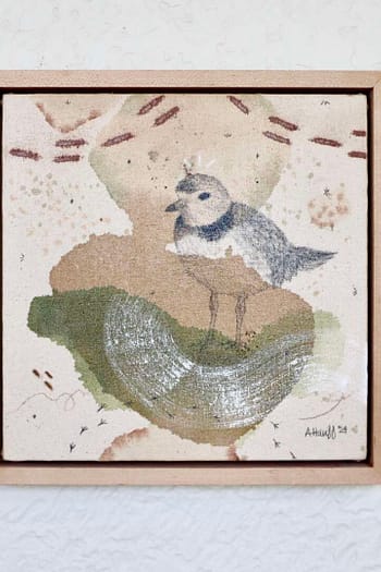 Piping Plover Mini Original