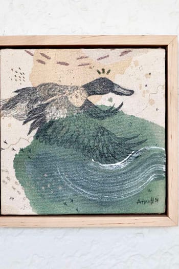 Northern Shoveler Mini Original