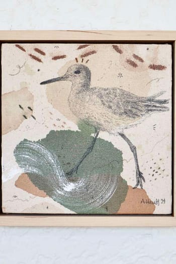 Willet Mini Original