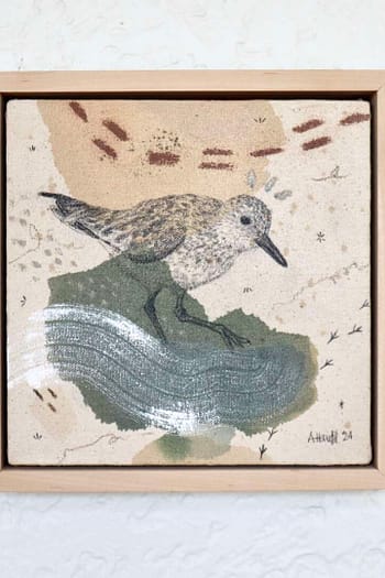 Semipalmated Sandpiper Mini Original