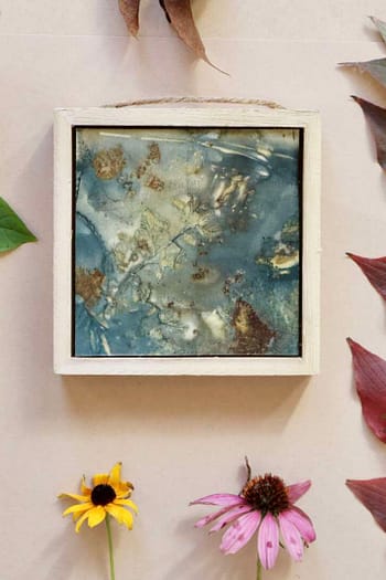 Framed Ecoprint Ornament #12