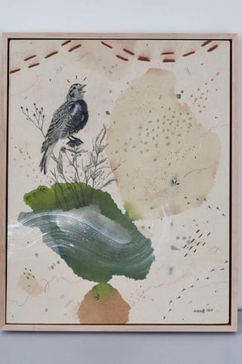 "Chestnut Collared Longspur, Warbling in the Shortgrass"