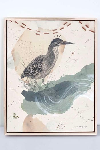 "Green Heron, Luring at the Water's Edge"