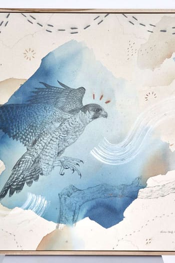 "Peregrine Falcon, Flying Ace"