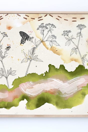 "Golden Alexander, Cosmopolitan Pollinator Haven"