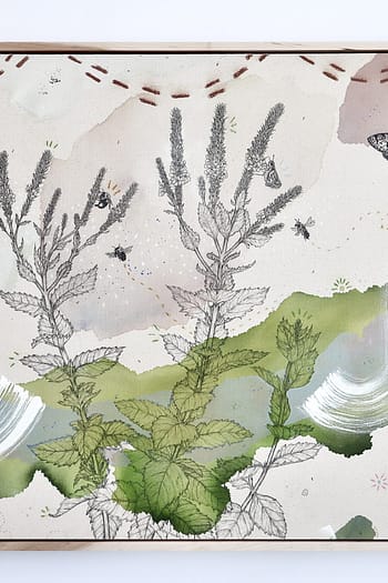 "Hoary Vervain, a Sacred Pollinator Haven"