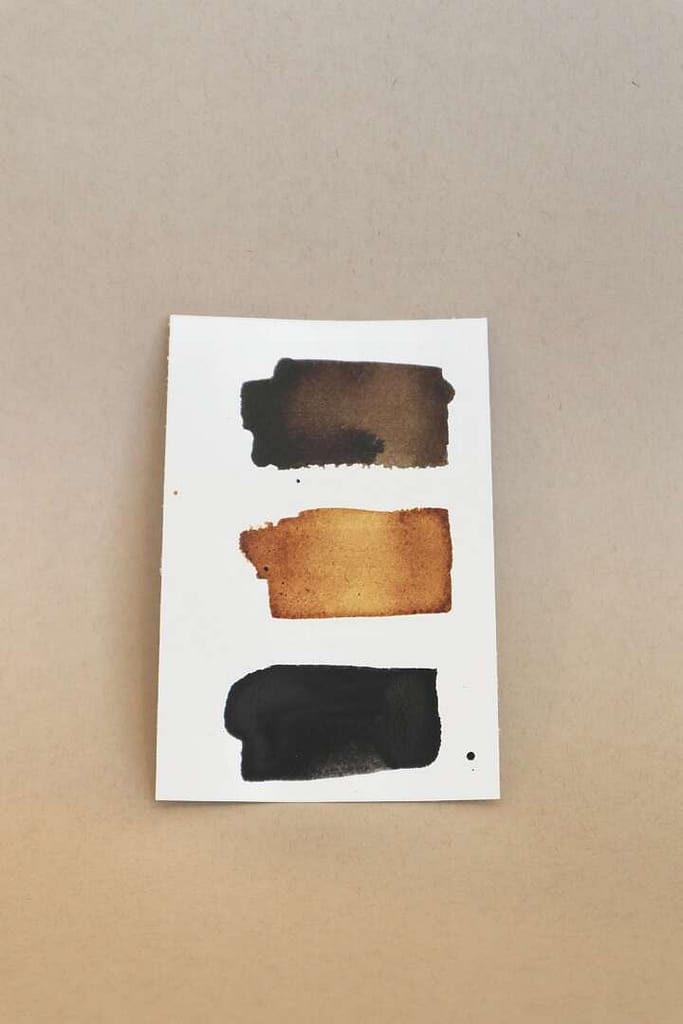 Alitia Ink Wild Ink Set: The Writers' Set - Alicia Hauff Studio
