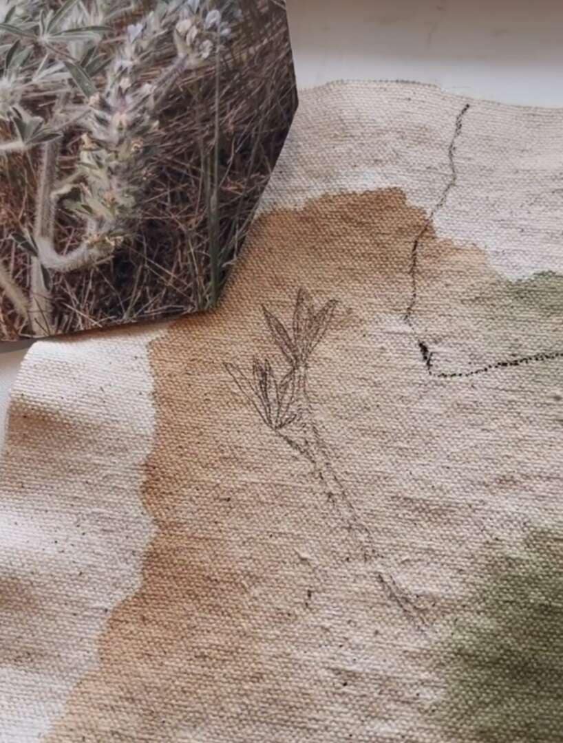 7AE2C11D-6073-40E8-818D-4D254A1496F4_1_201_a